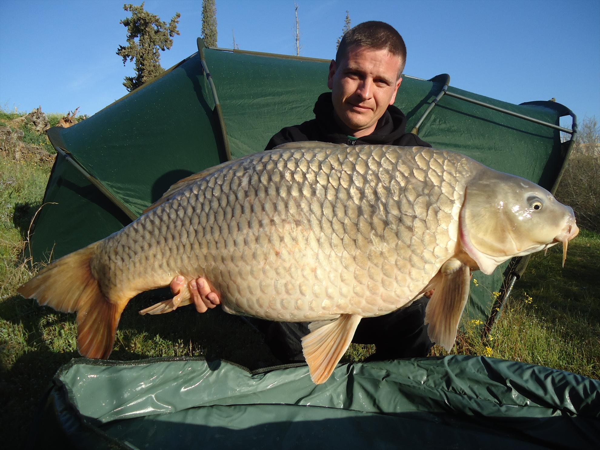 CARP FISHING...... - Ebro river SPAIN